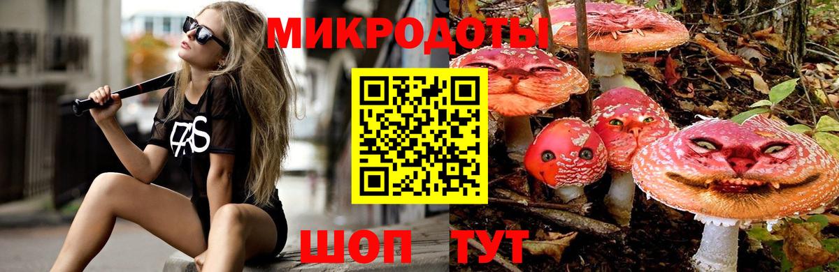 Псилоцибиновые грибы Psilocybine cubensis  Вход с VPN  Свободный 